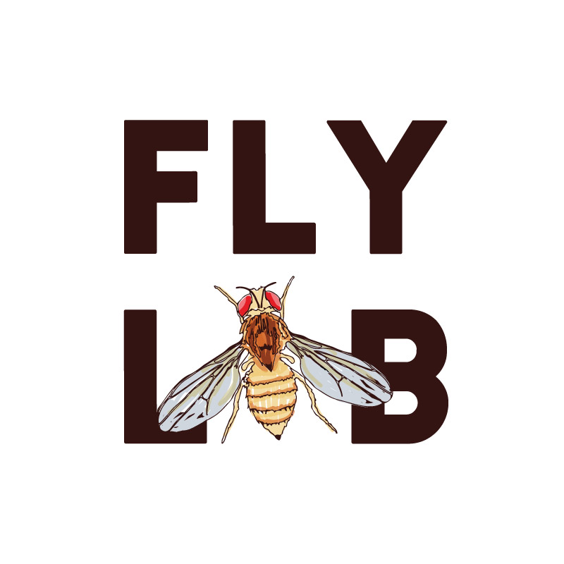 Logo design for FlyLab